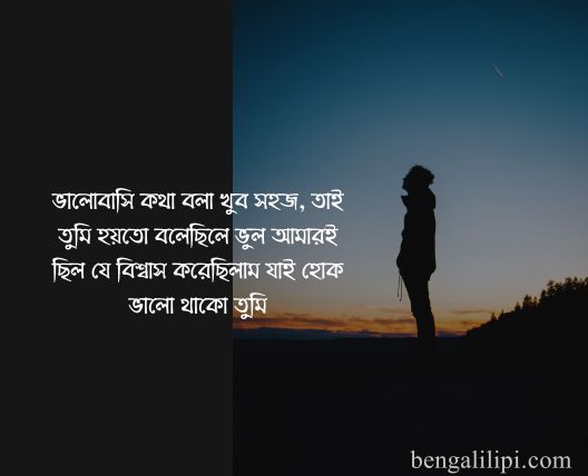 bangla sad status