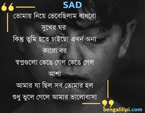 sad bengali status and quotes