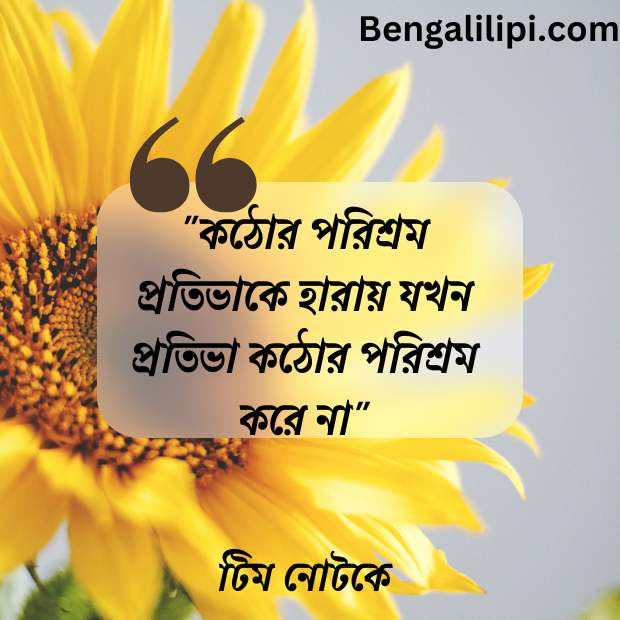 bengali motivational quotes 
