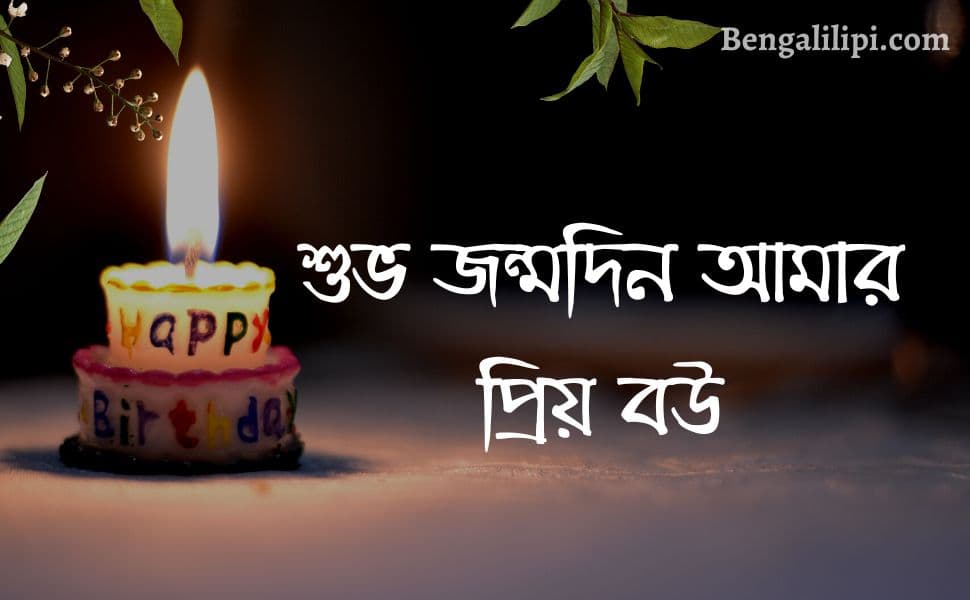 wife happy birthday quotes in bengali