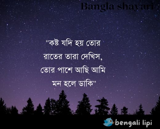 Bangla sad shayari