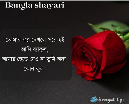Bangla shayari 