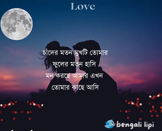 bengali shayari love 