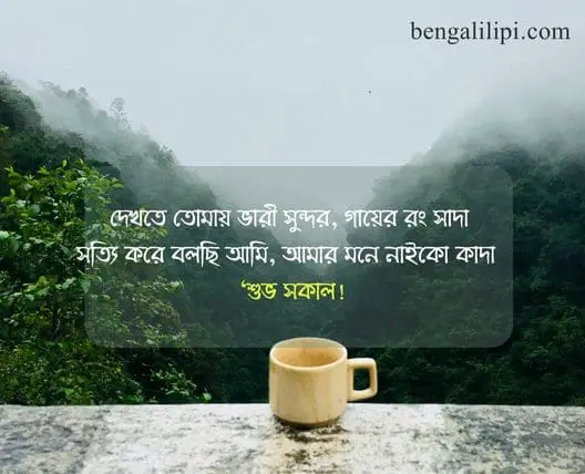 funny good morning quotes in bengali