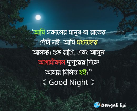 funny good night bangla whatsapp status