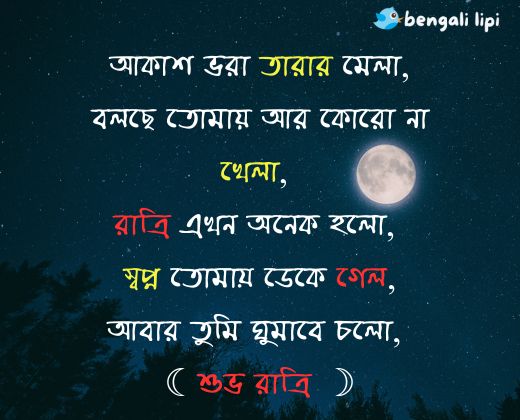 good night bangla sms photo