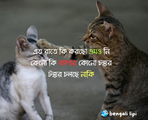 good night bangla quotes