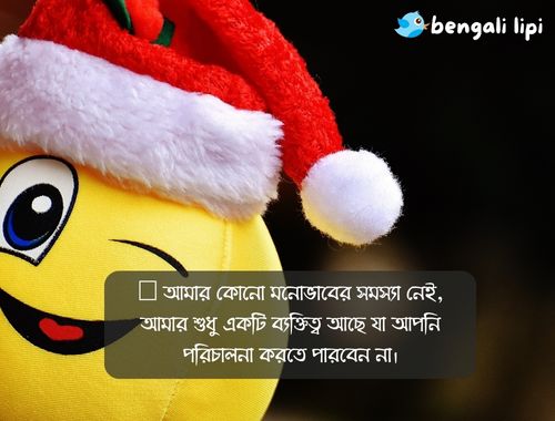 Bengali Caption For Fb