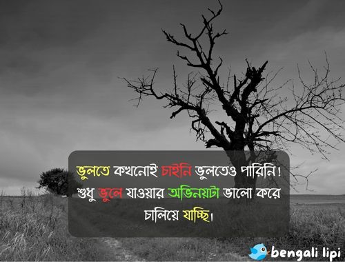 Bengali Caption for whatsapp