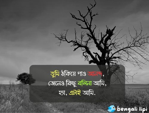 Bengali Caption for whatsapp