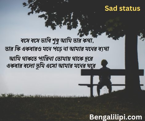 bengali very sad status in bengali 1